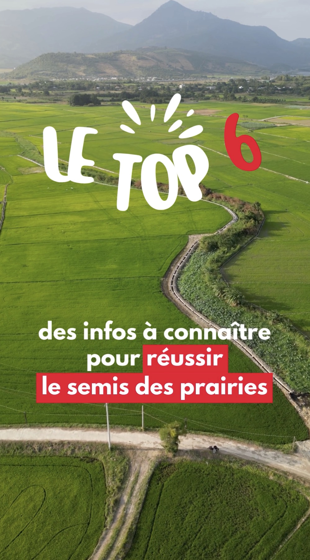 Top 6 des infos à connaître pour réussir le semis des prairies